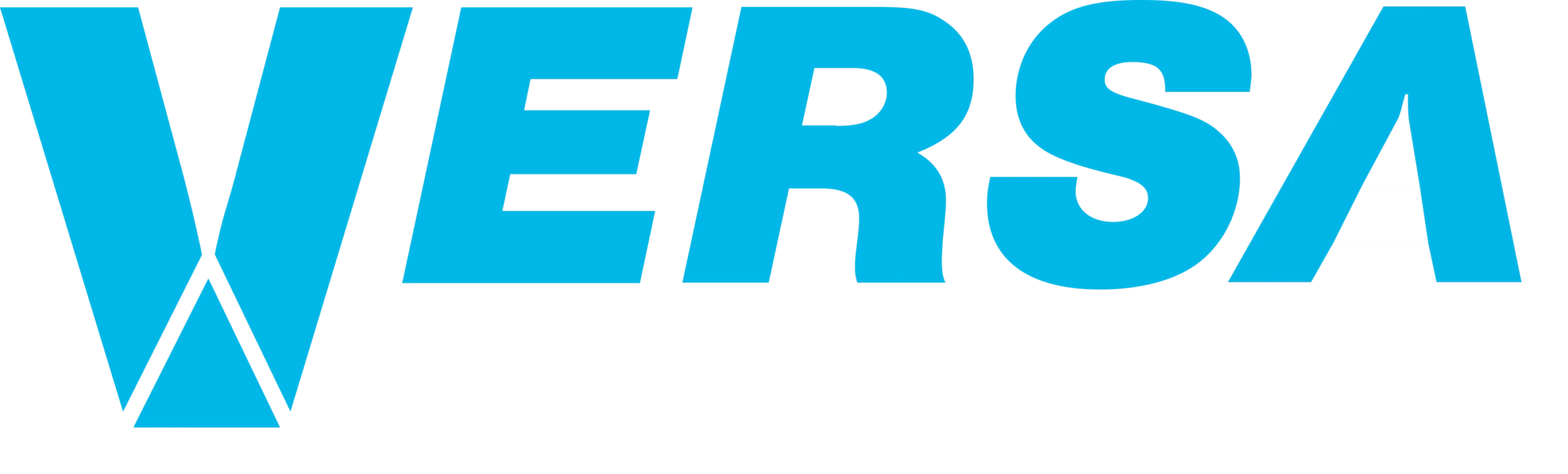 versa-blue-white-logo-1